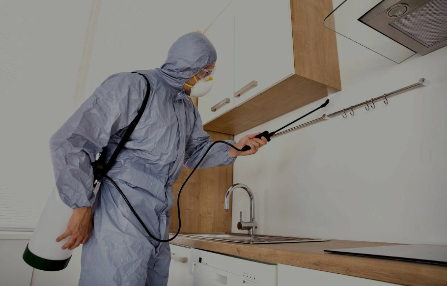 Granite Bay pest managment